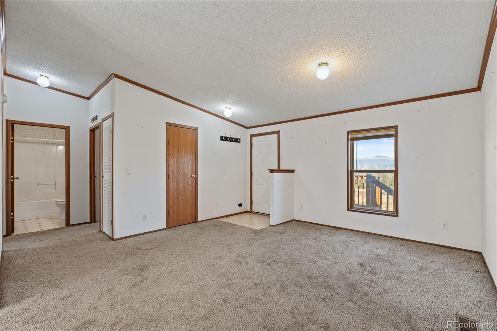 MLS Image #4 for 1711  witcher mountain road,guffey, Colorado