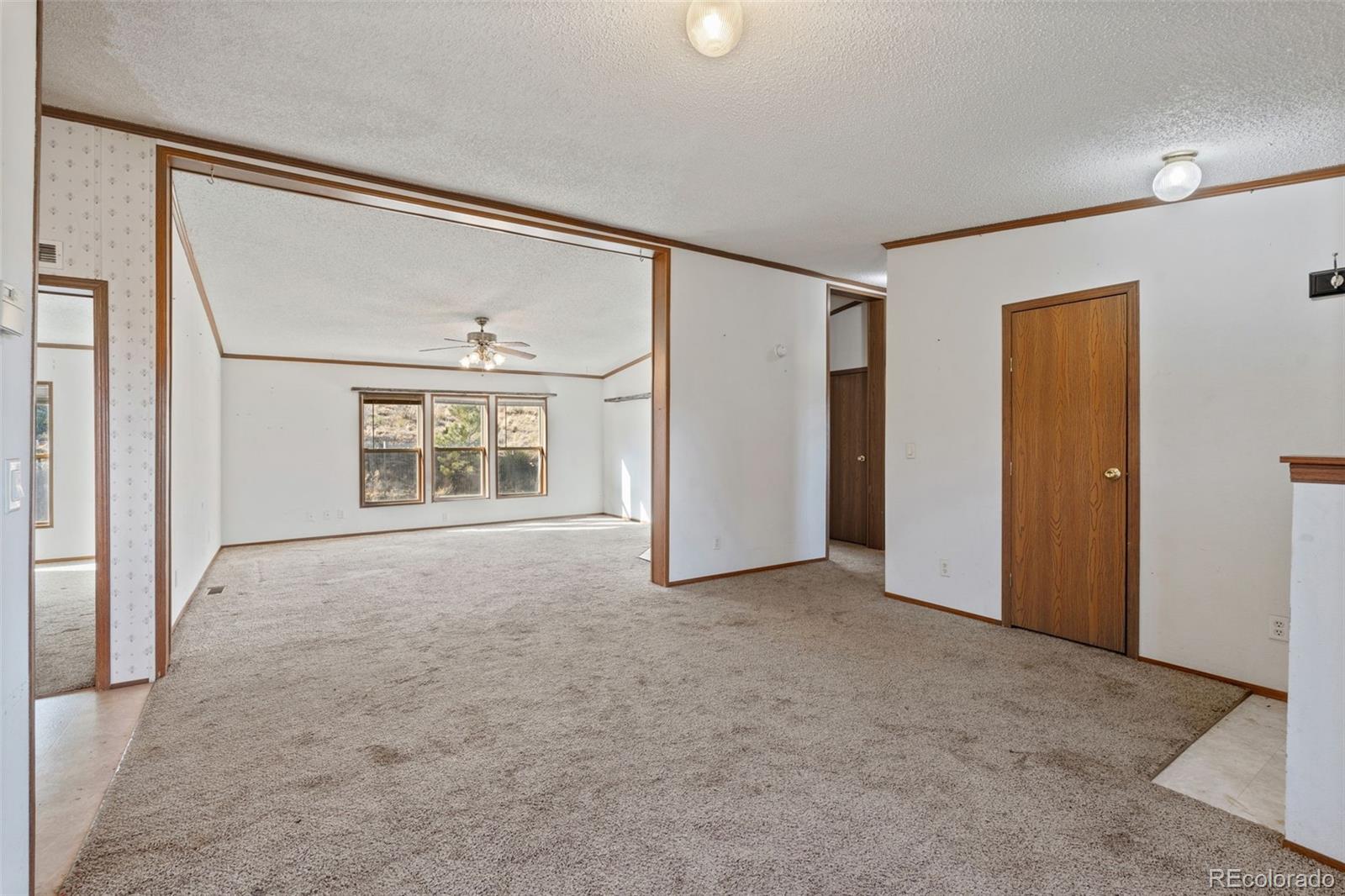 MLS Image #5 for 1711  witcher mountain road,guffey, Colorado