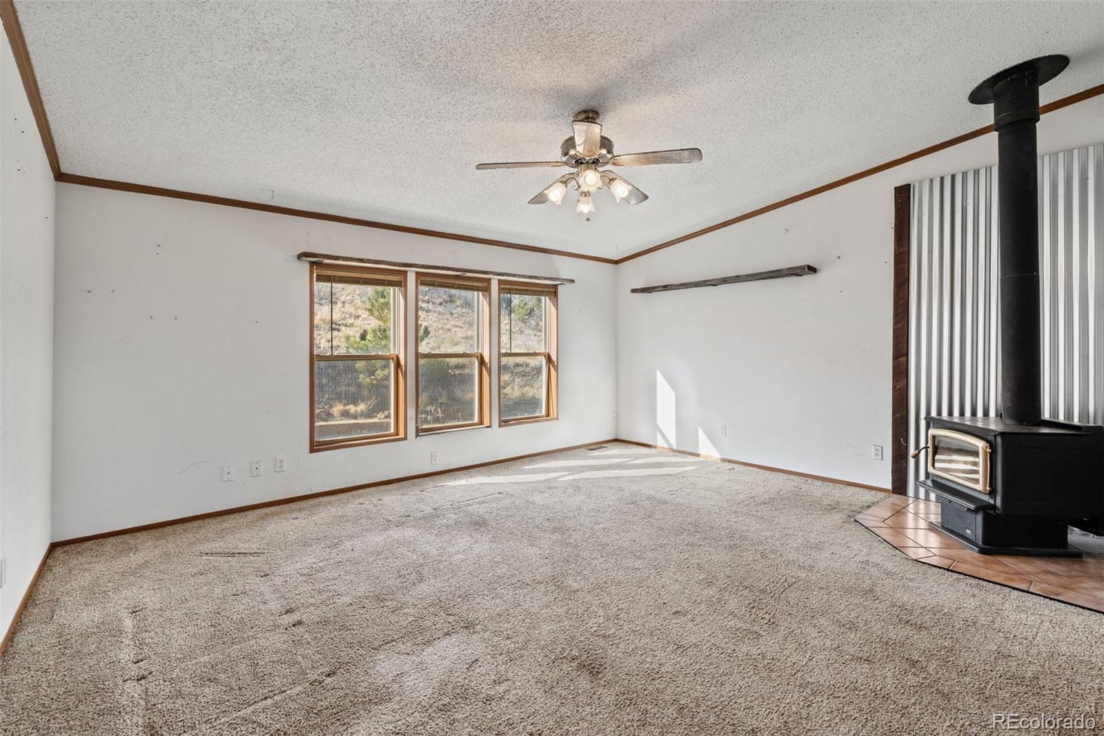 MLS Image #6 for 1711  witcher mountain road,guffey, Colorado