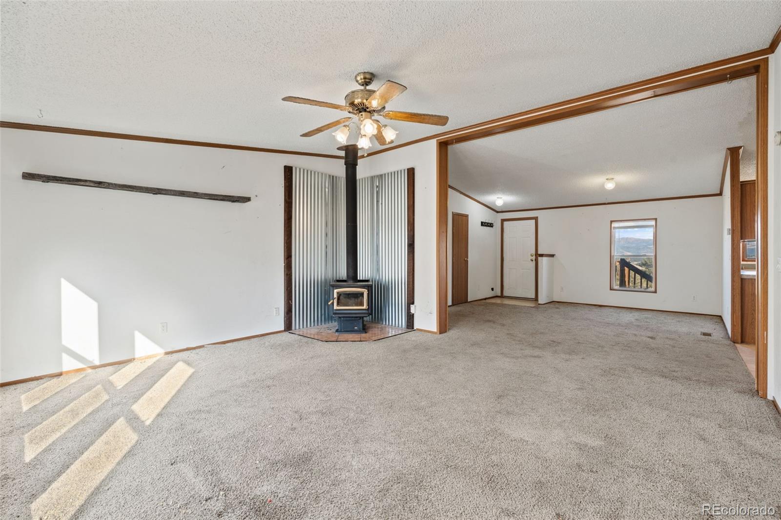 MLS Image #7 for 1711  witcher mountain road,guffey, Colorado