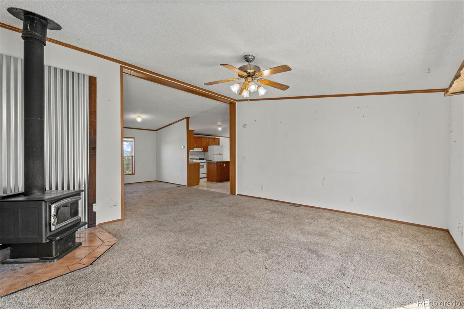MLS Image #8 for 1711  witcher mountain road,guffey, Colorado