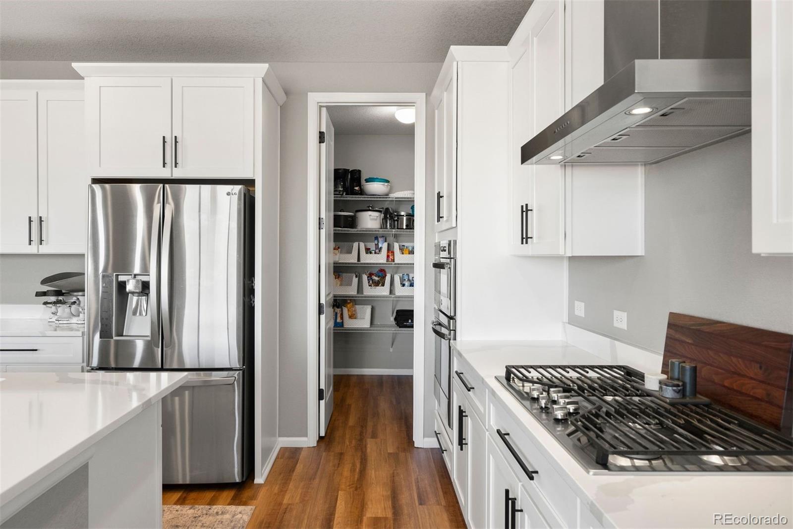 MLS Image #12 for 7007  mentha drive,castle rock, Colorado