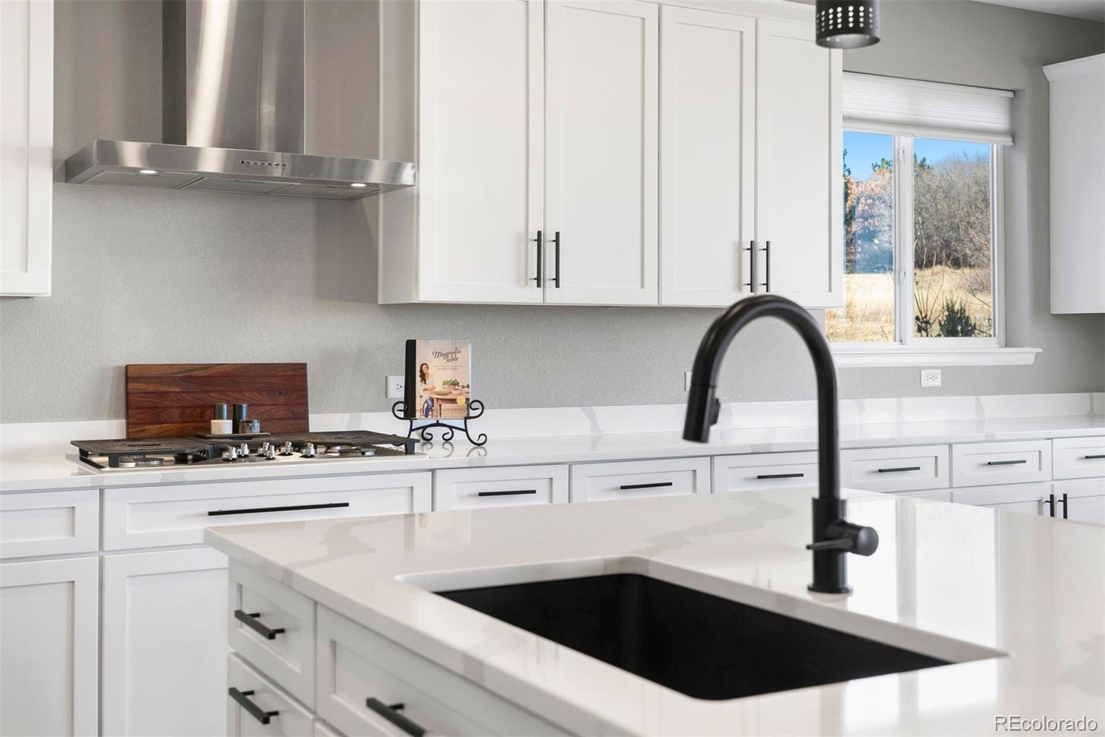 MLS Image #13 for 7007  mentha drive,castle rock, Colorado