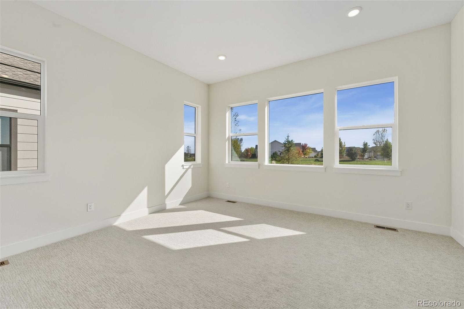 MLS Image #12 for 1617  winter glow drive,windsor, Colorado