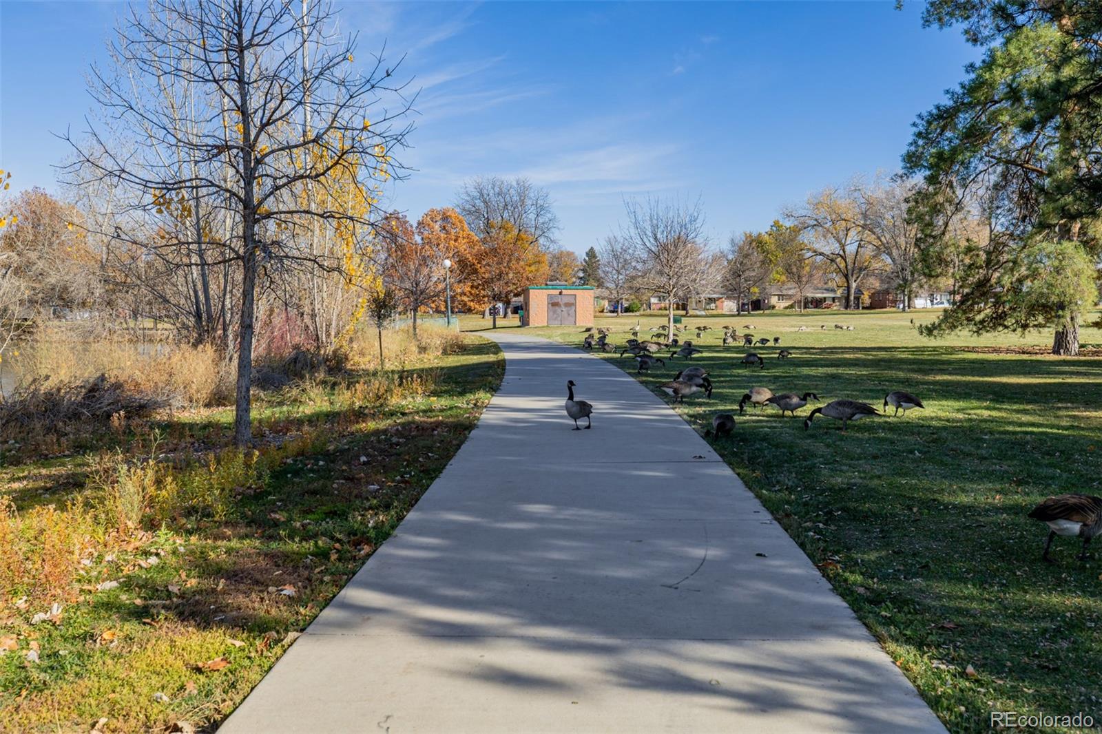 MLS Image #38 for 2213 s meade street,denver, Colorado