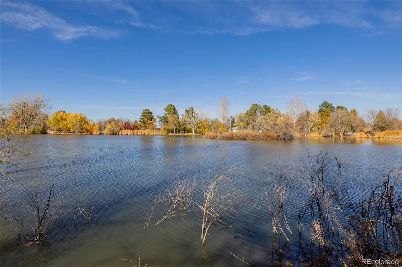 MLS Image #39 for 2213 s meade street,denver, Colorado
