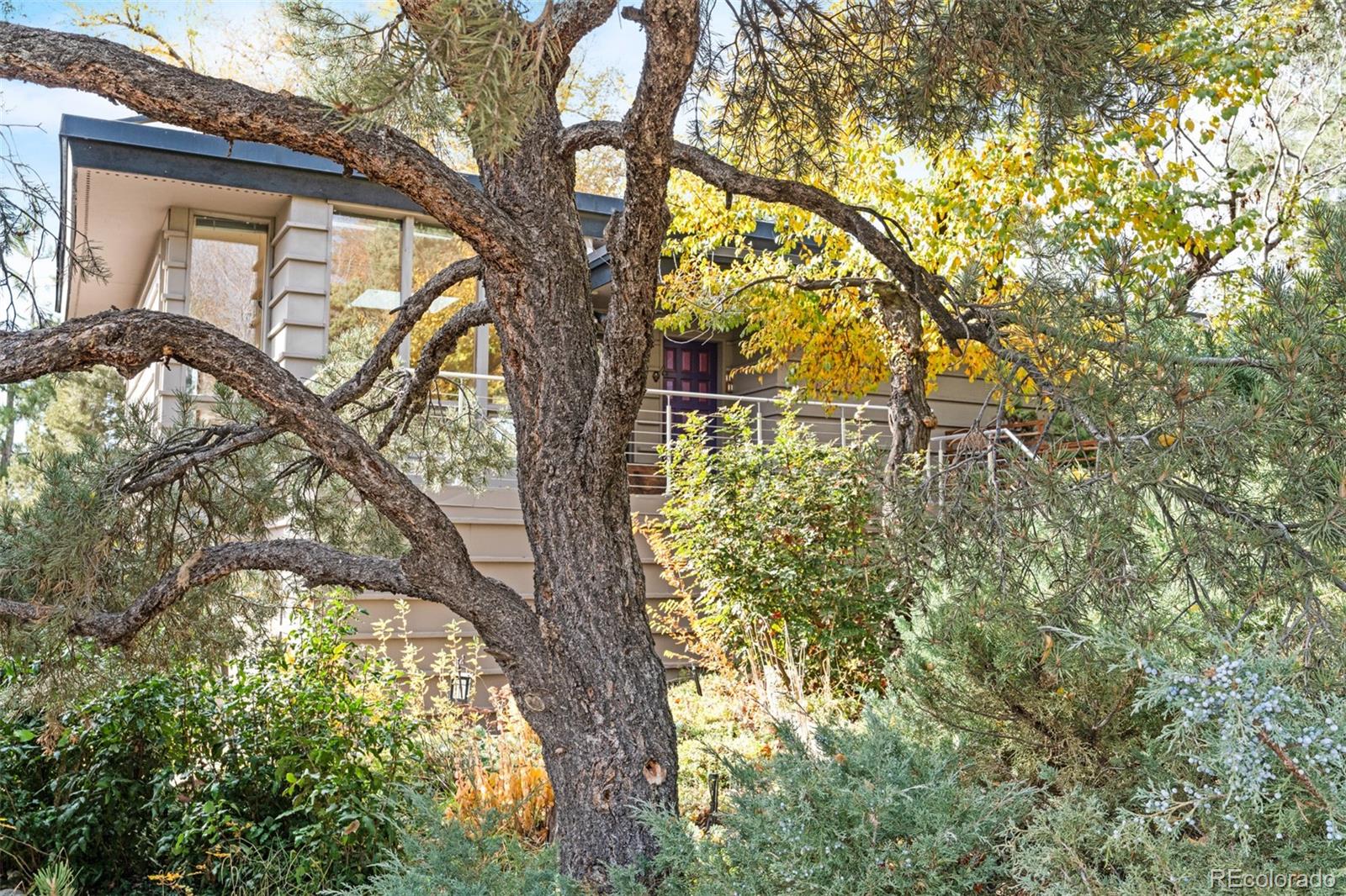 MLS Image #7 for 11  sunset lane,greenwood village, Colorado