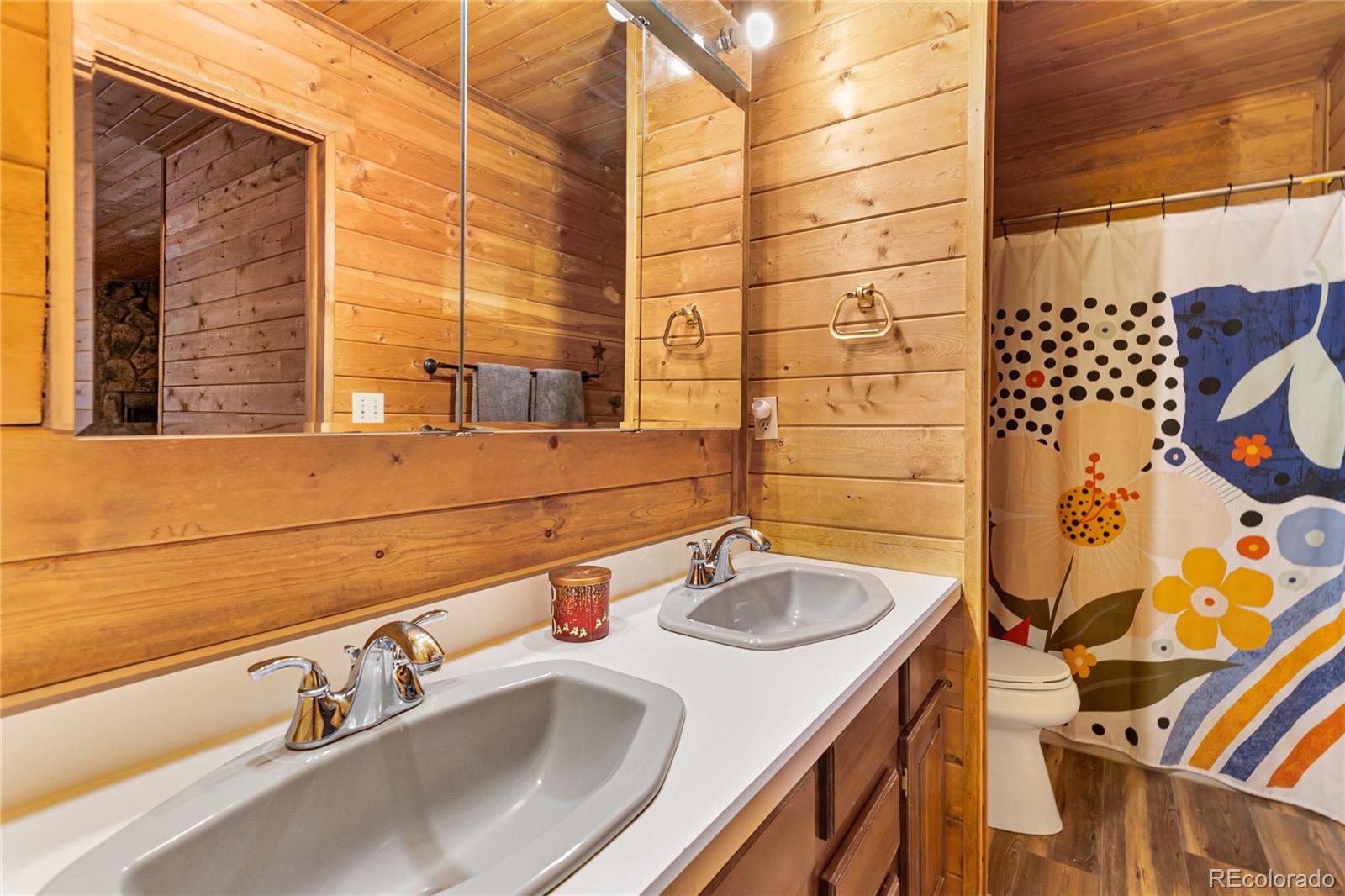 MLS Image #16 for 795 s mountain estates road,florissant, Colorado