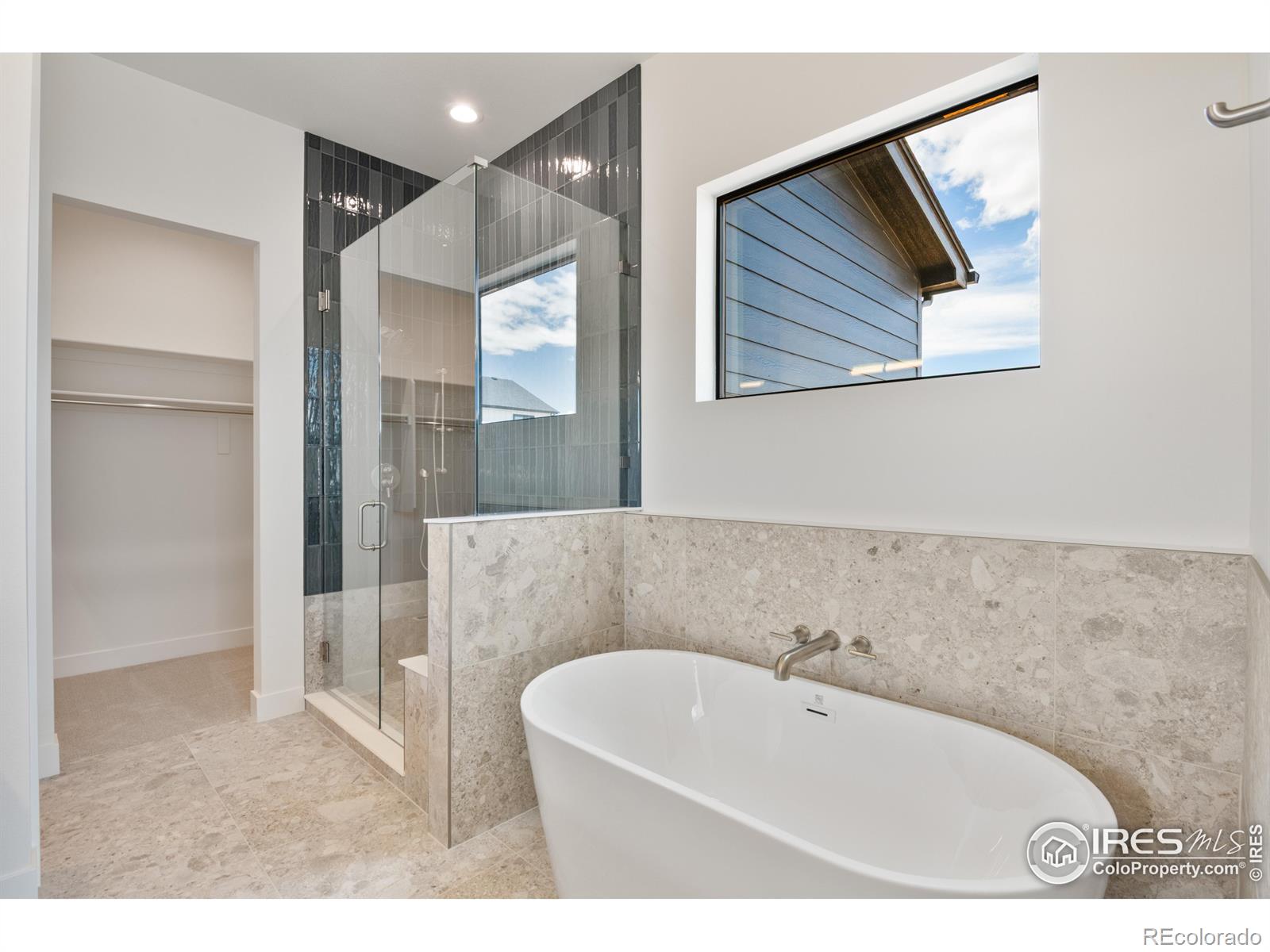 MLS Image #14 for 164  boxwood drive,windsor, Colorado