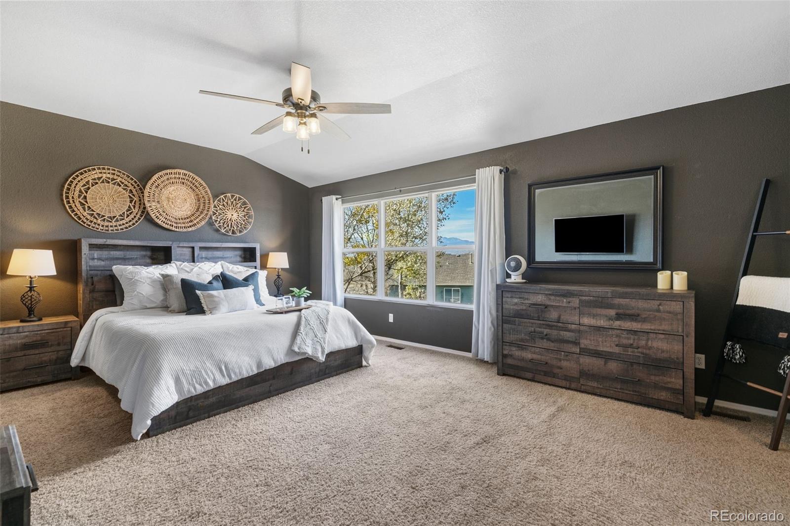MLS Image #14 for 2322  springside drive,colorado springs, Colorado
