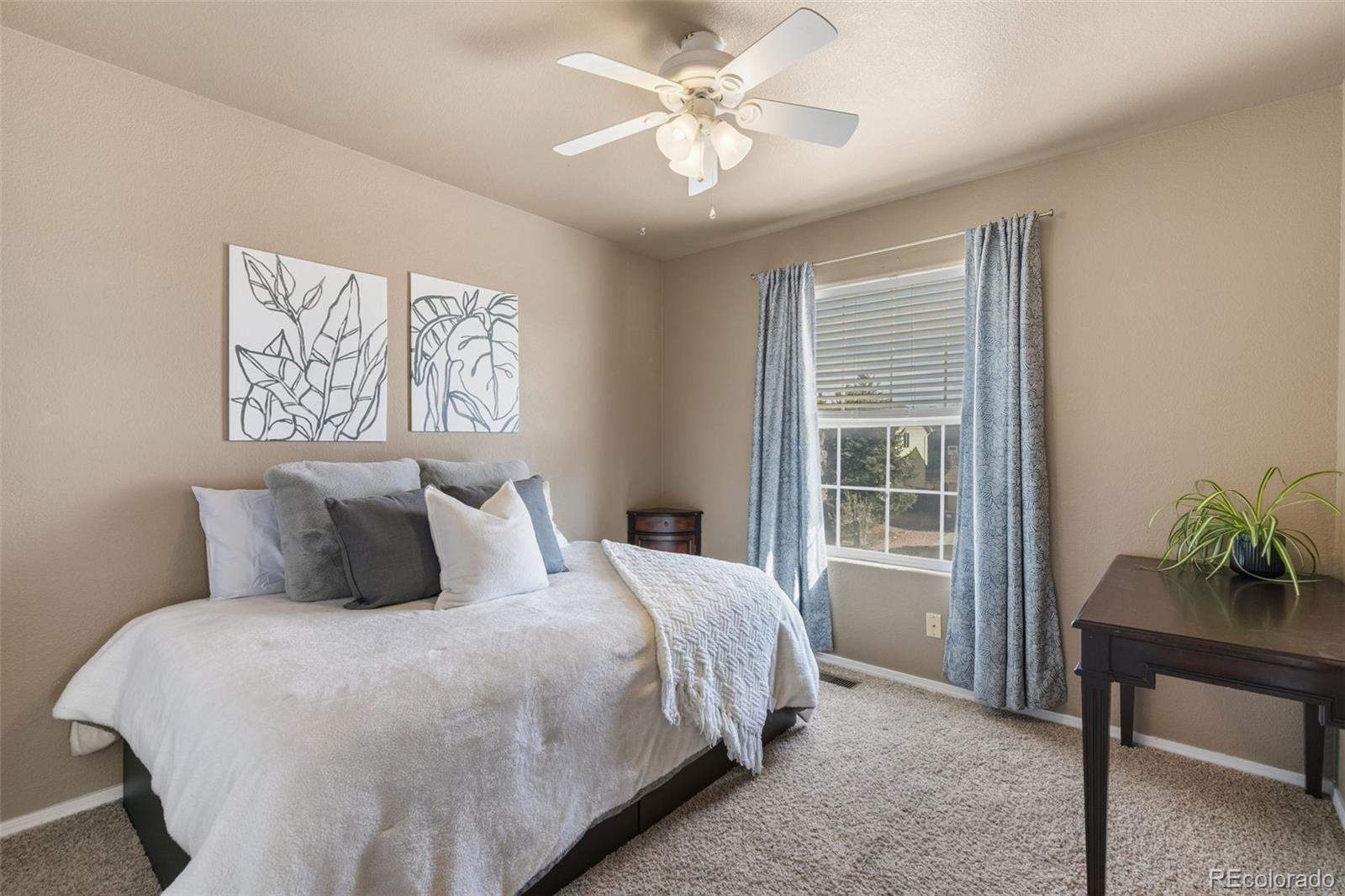 MLS Image #18 for 2322  springside drive,colorado springs, Colorado
