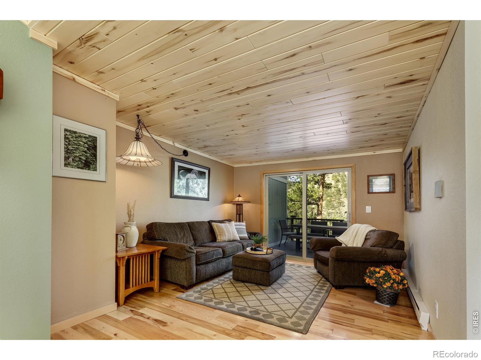 MLS Image #13 for 321  may avenue,lyons, Colorado