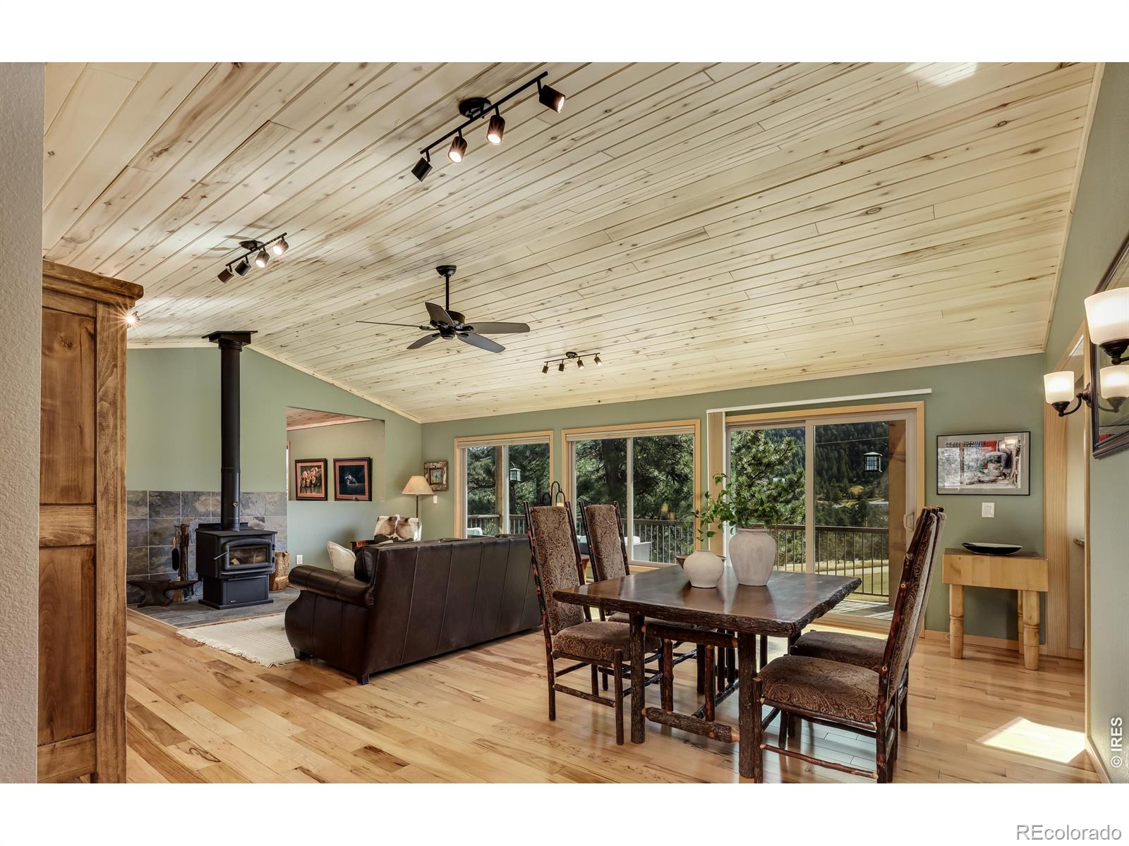 MLS Image #4 for 321  may avenue,lyons, Colorado