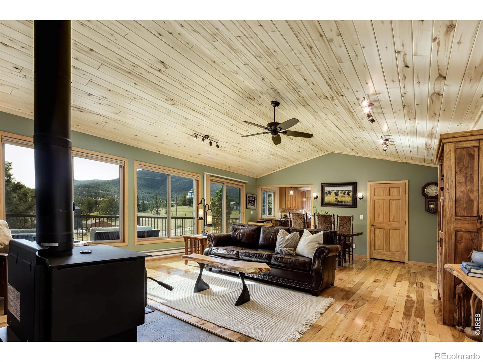 MLS Image #5 for 321  may avenue,lyons, Colorado