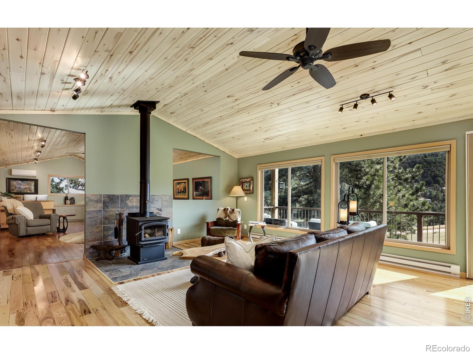 MLS Image #6 for 321  may avenue,lyons, Colorado