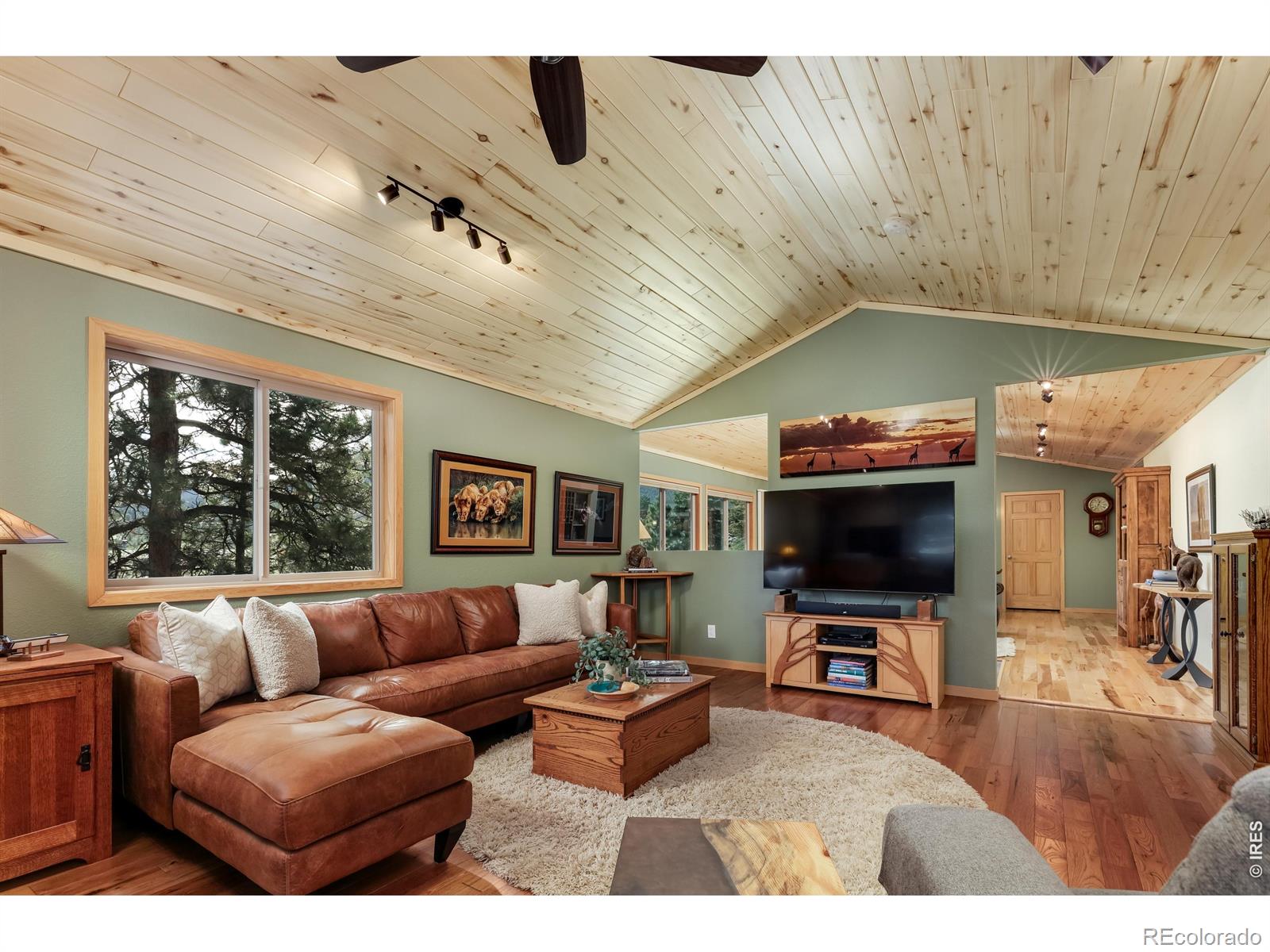 MLS Image #7 for 321  may avenue,lyons, Colorado