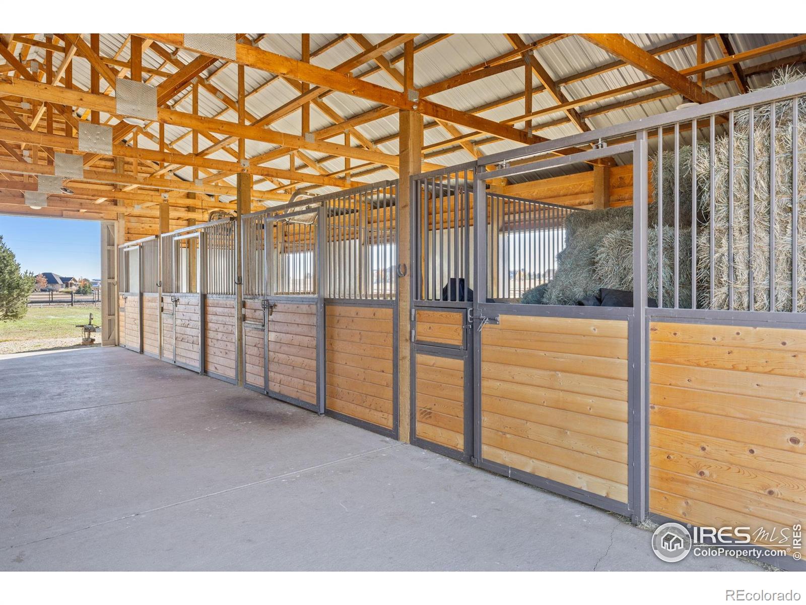 MLS Image #8 for 1822  quarter lane,berthoud, Colorado