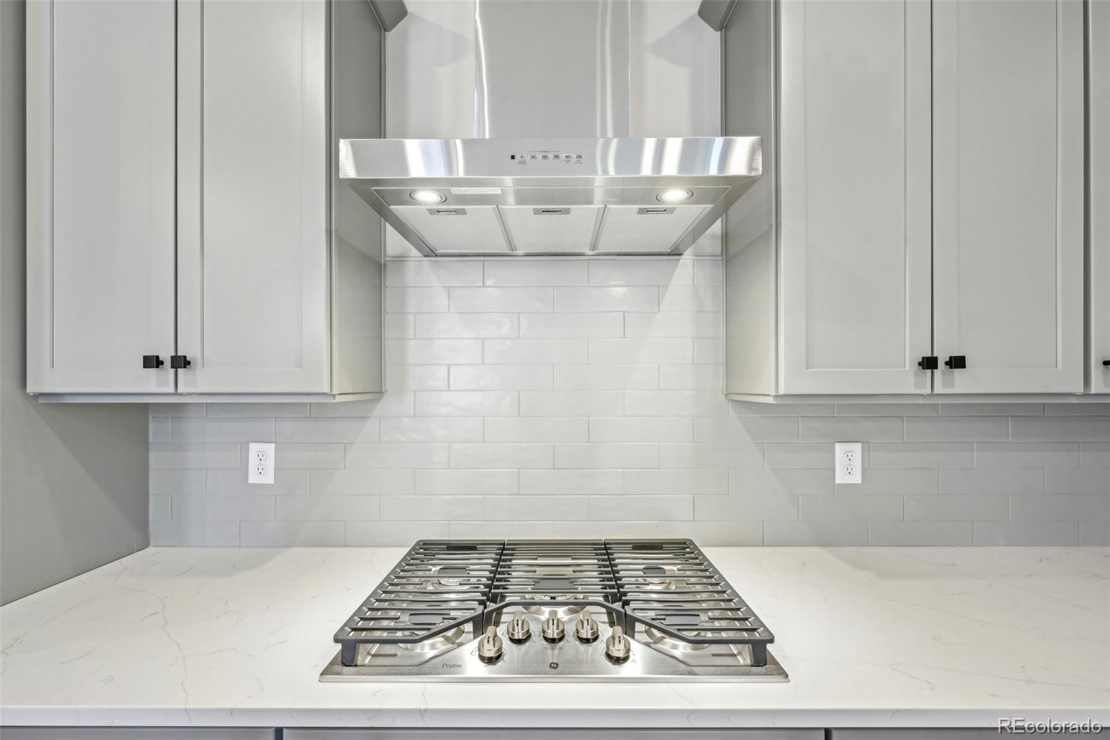 MLS Image #12 for 8779  whiteclover street,littleton, Colorado