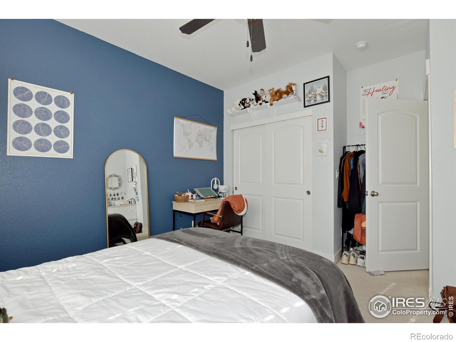 MLS Image #29 for 2172  cape hatteras drive,windsor, Colorado