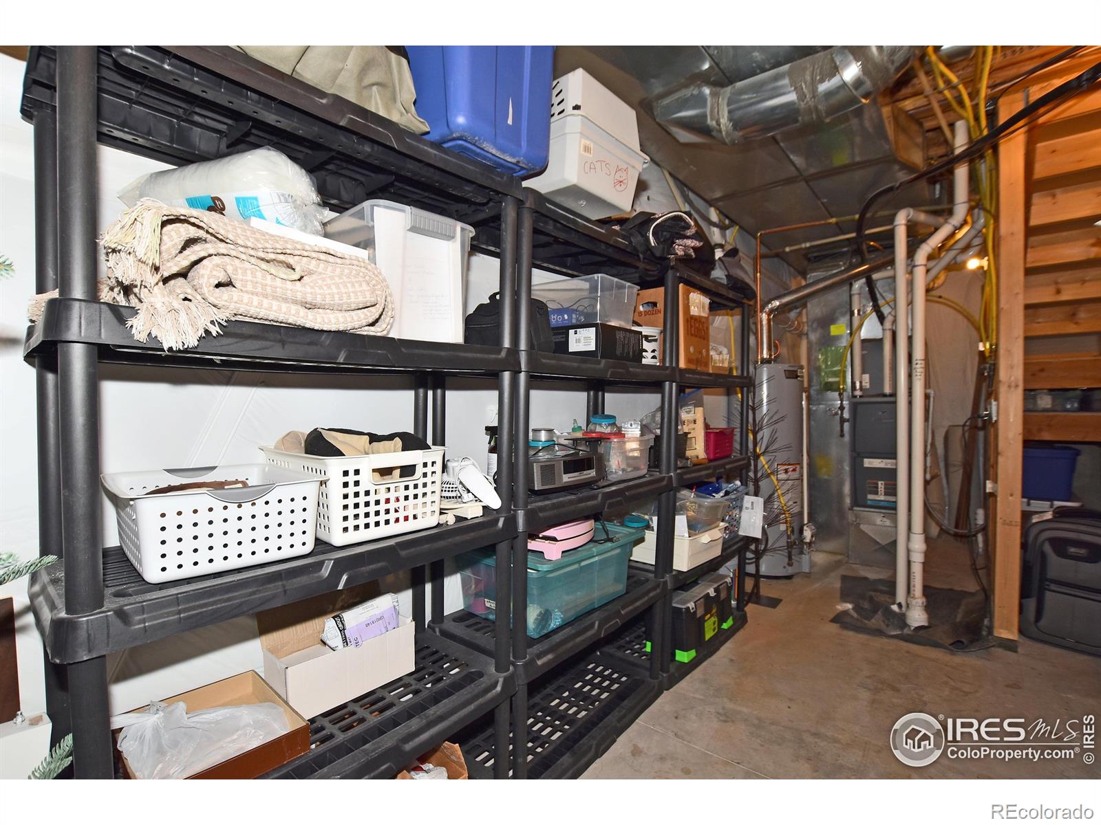 MLS Image #38 for 2172  cape hatteras drive,windsor, Colorado