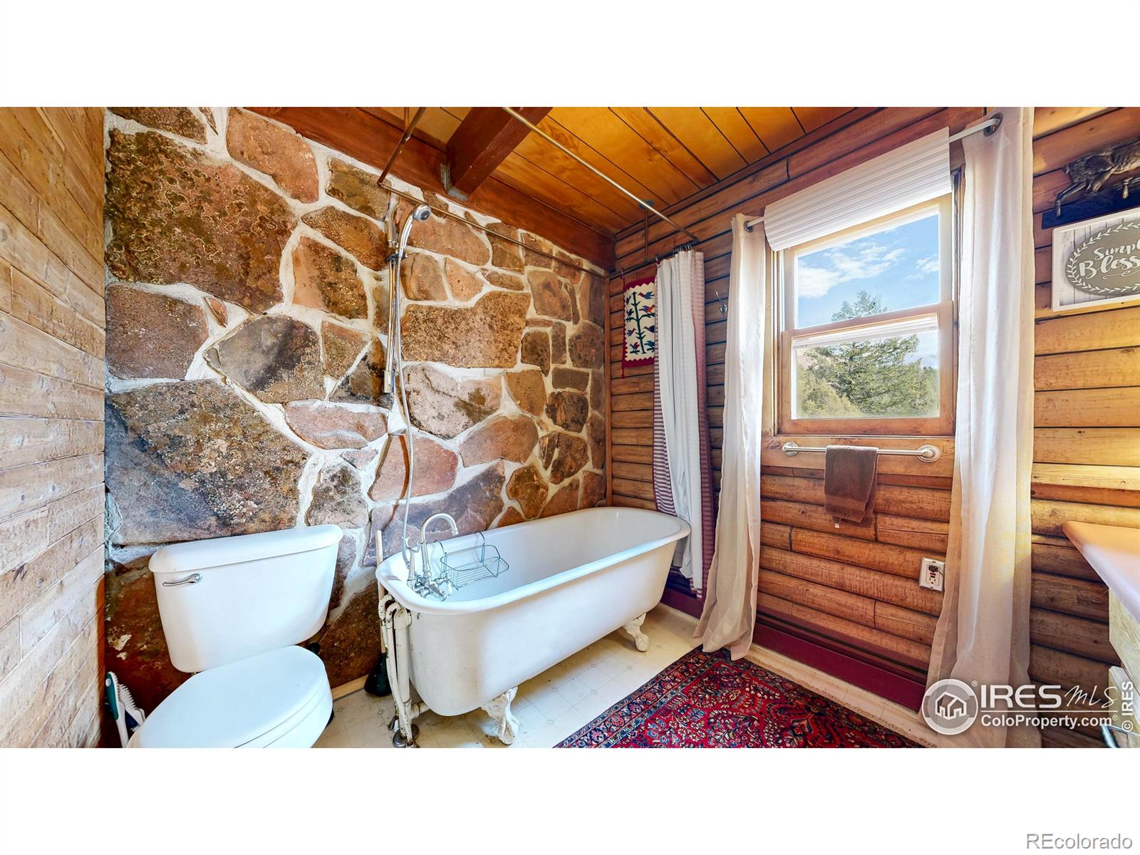 MLS Image #13 for 181  deer lane,lyons, Colorado