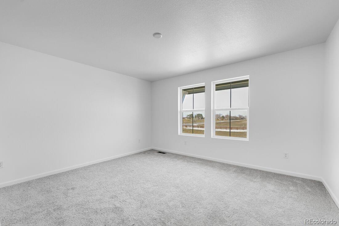 MLS Image #11 for 1177  prospect aly ,brighton, Colorado