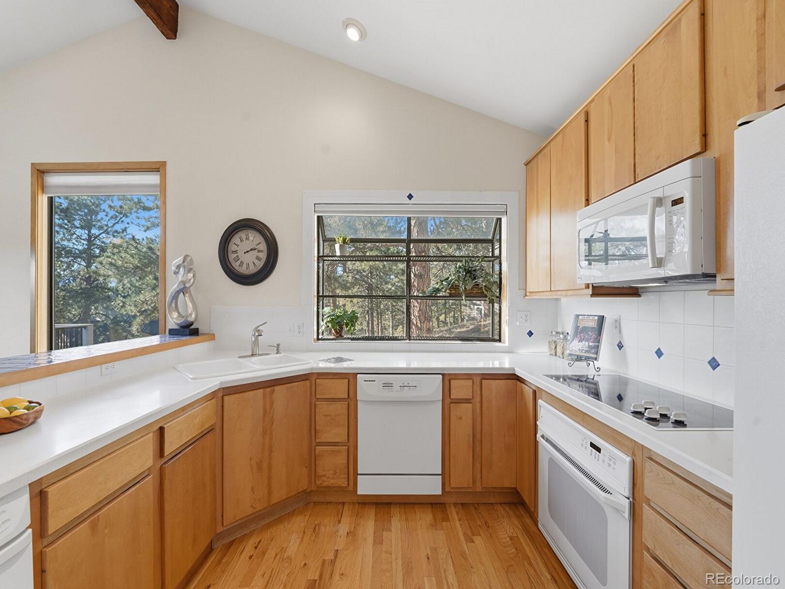 MLS Image #11 for 1375  southridge court,golden, Colorado