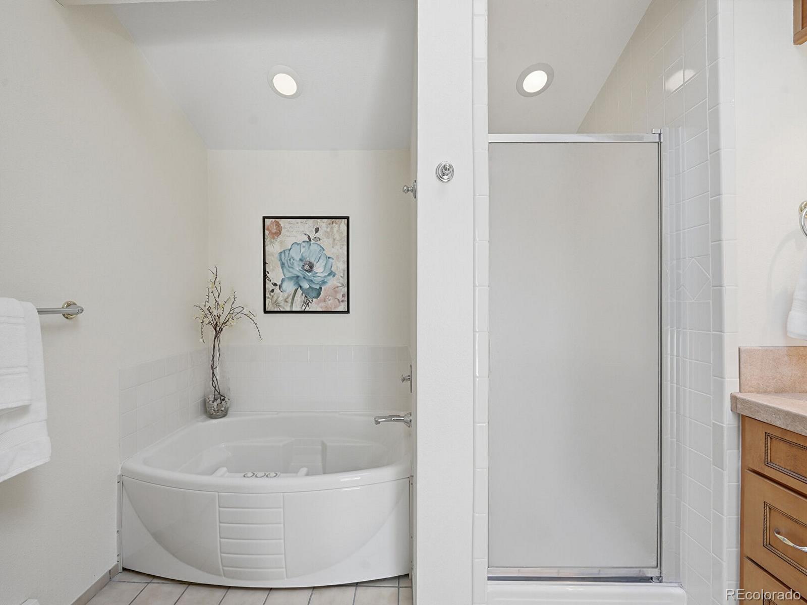 MLS Image #18 for 1375  southridge court,golden, Colorado