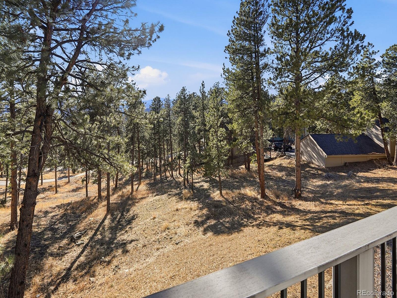 MLS Image #30 for 1375  southridge court,golden, Colorado
