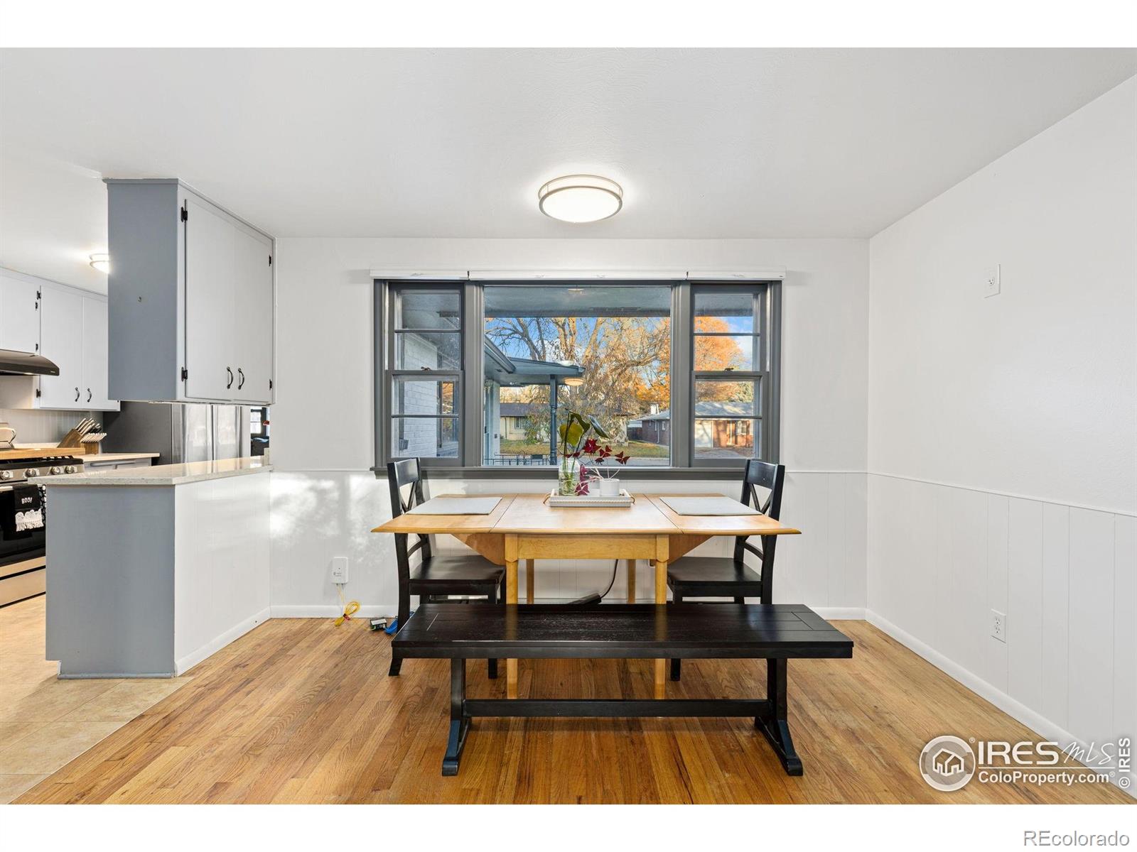 MLS Image #12 for 1227  grant street,longmont, Colorado