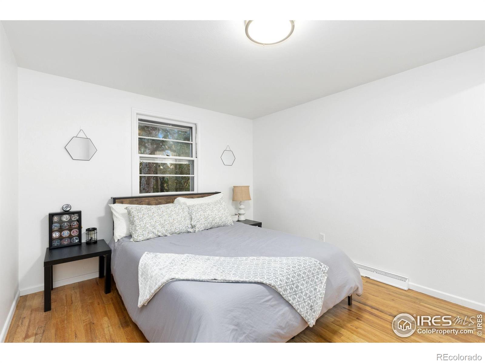 MLS Image #20 for 1227  grant street,longmont, Colorado
