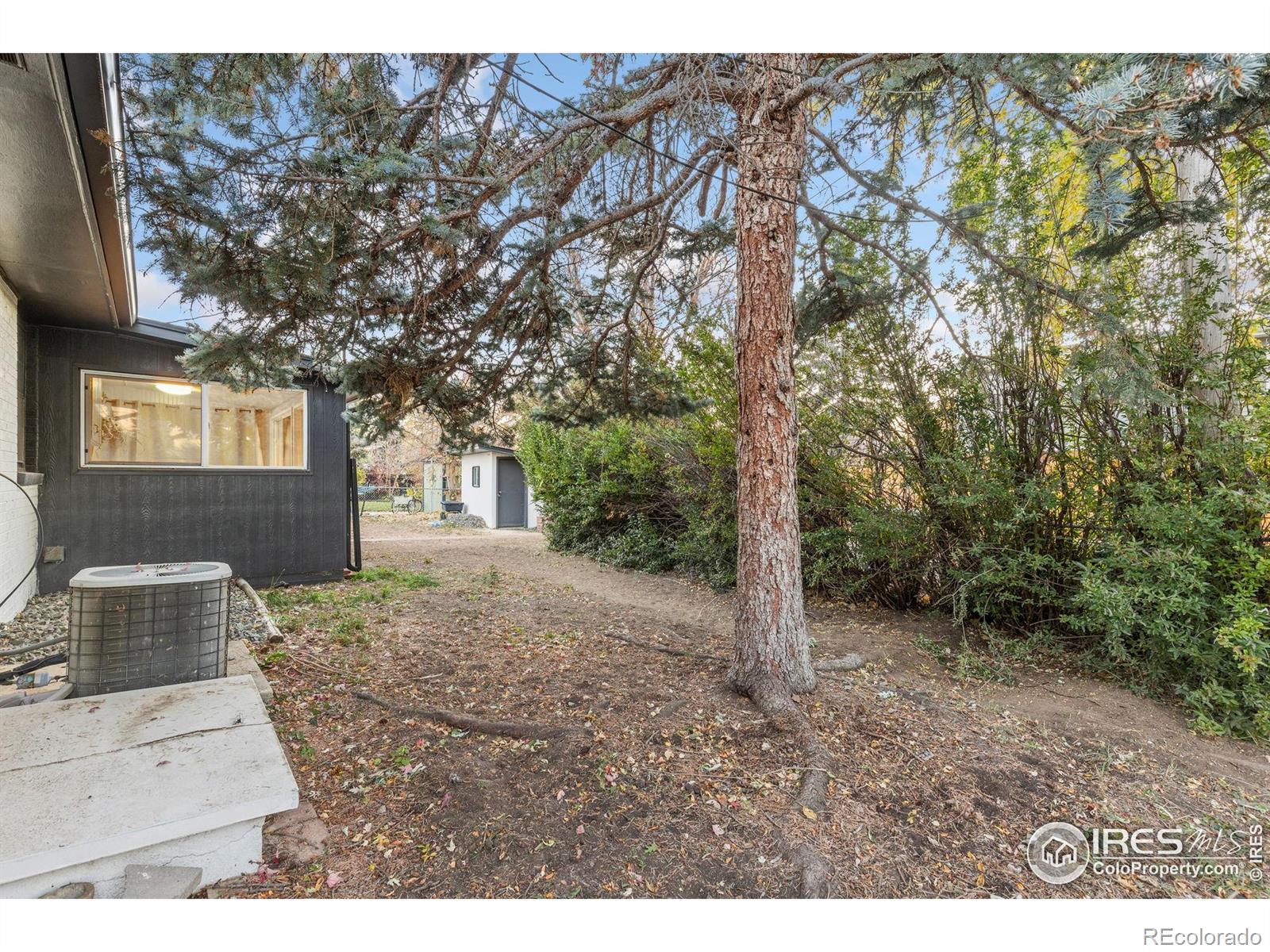 MLS Image #27 for 1227  grant street,longmont, Colorado