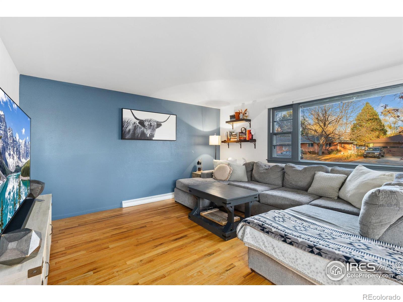 MLS Image #5 for 1227  grant street,longmont, Colorado