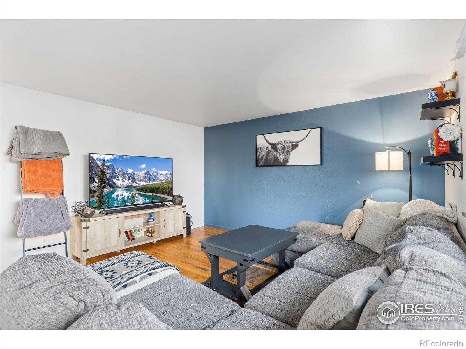MLS Image #7 for 1227  grant street,longmont, Colorado