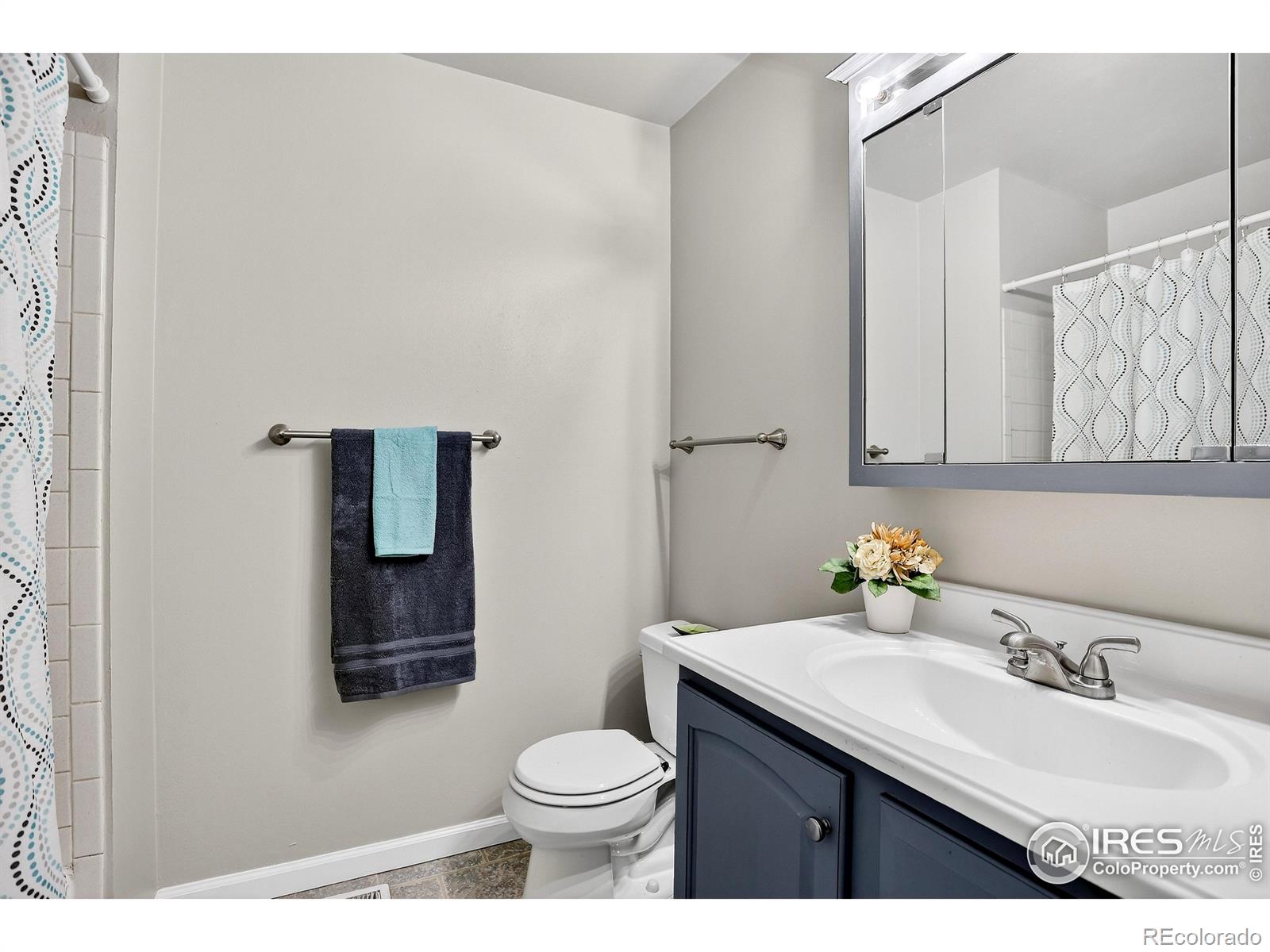 MLS Image #13 for 677  2nd street,firestone, Colorado