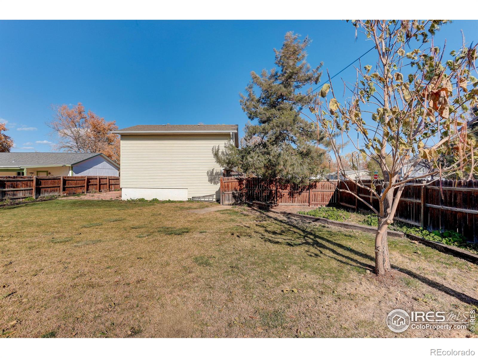 MLS Image #22 for 677  2nd street,firestone, Colorado