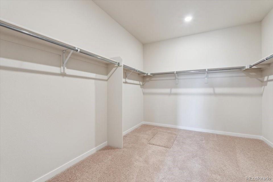 MLS Image #19 for 5806  farmstead place,mead, Colorado