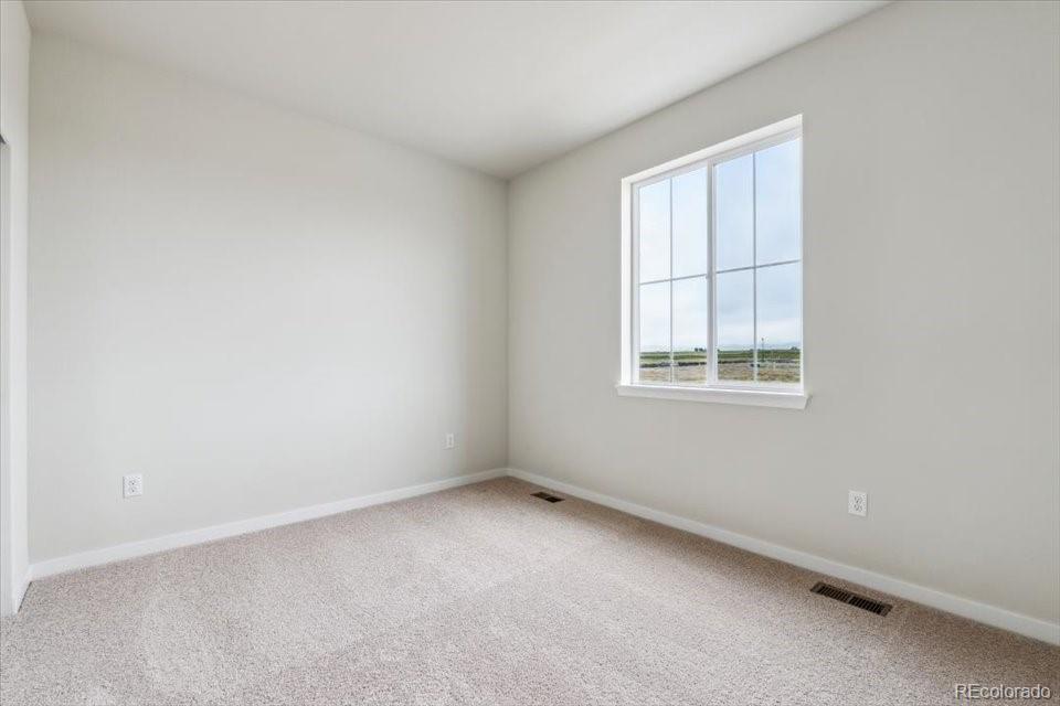 MLS Image #9 for 5806  farmstead place,mead, Colorado