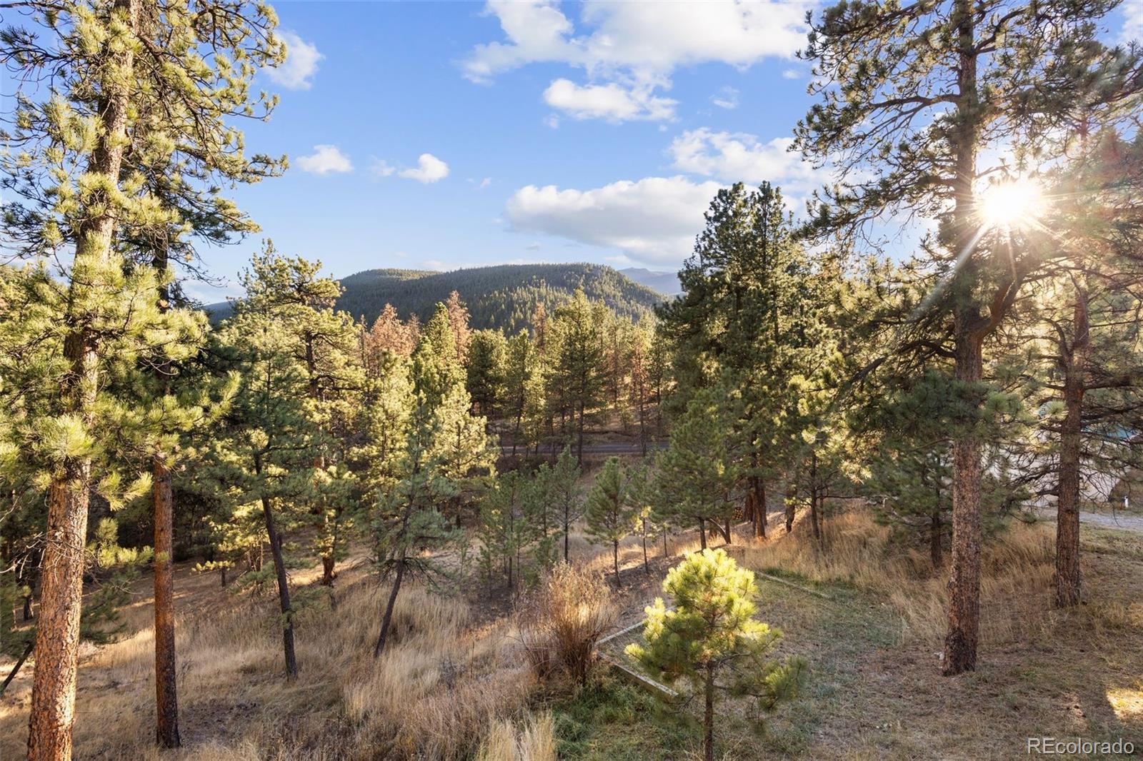 MLS Image #1 for 22  driver road,bailey, Colorado