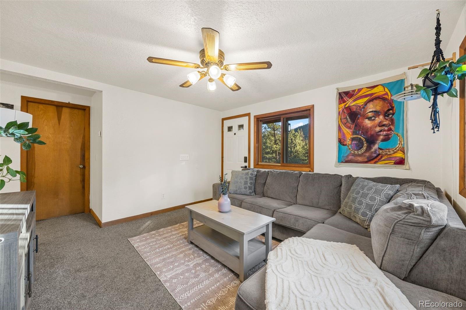 MLS Image #14 for 22  driver road,bailey, Colorado