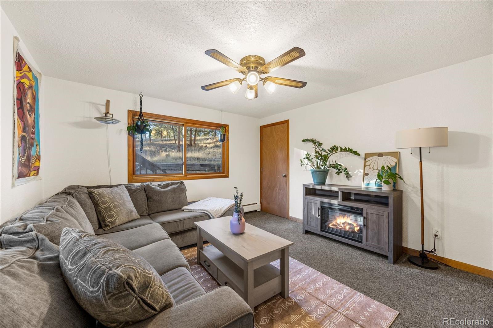 MLS Image #15 for 22  driver road,bailey, Colorado