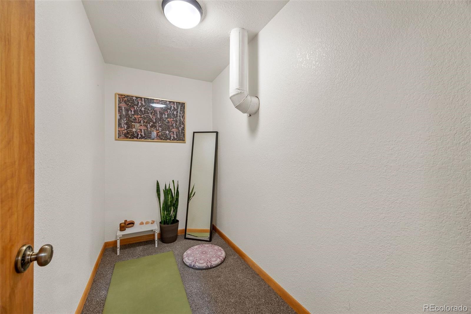 MLS Image #19 for 22  driver road,bailey, Colorado