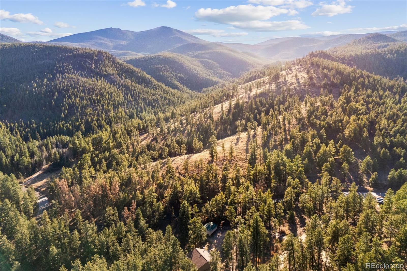 MLS Image #23 for 22  driver road,bailey, Colorado
