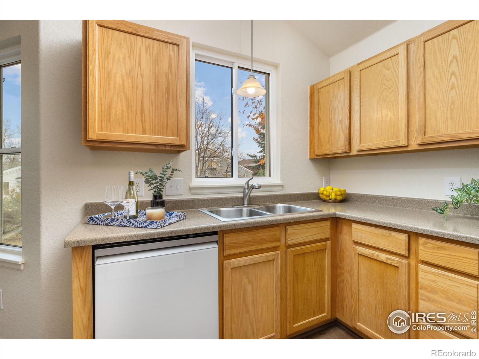 MLS Image #10 for 374  tynan drive,erie, Colorado