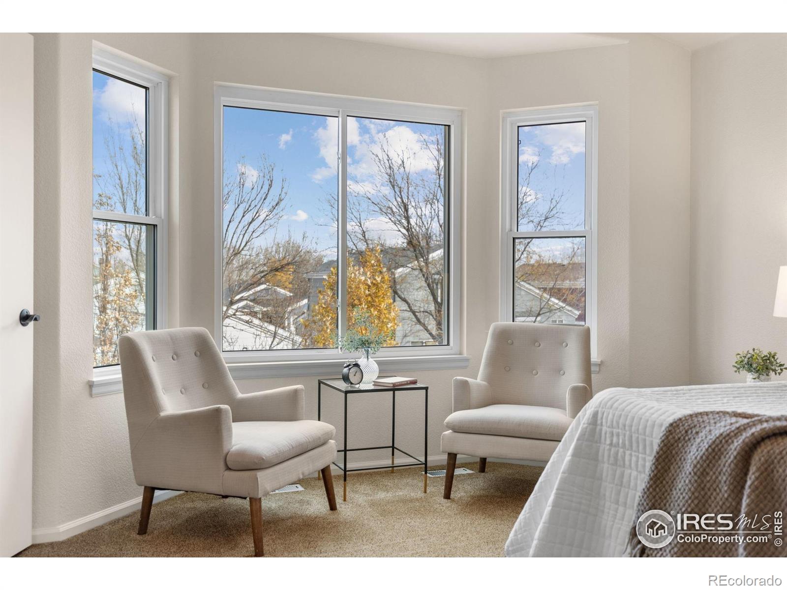 MLS Image #18 for 374  tynan drive,erie, Colorado
