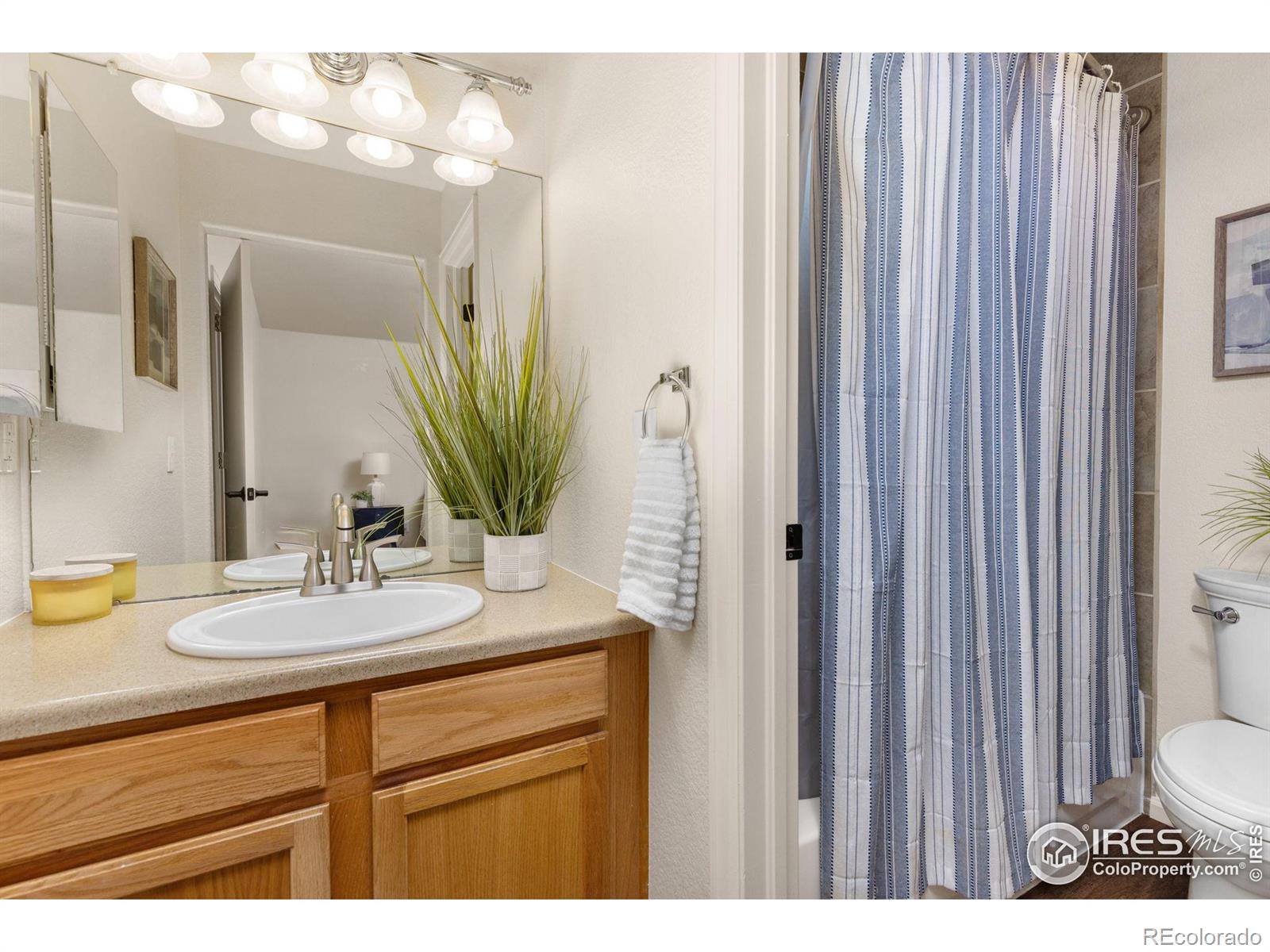 MLS Image #20 for 374  tynan drive,erie, Colorado