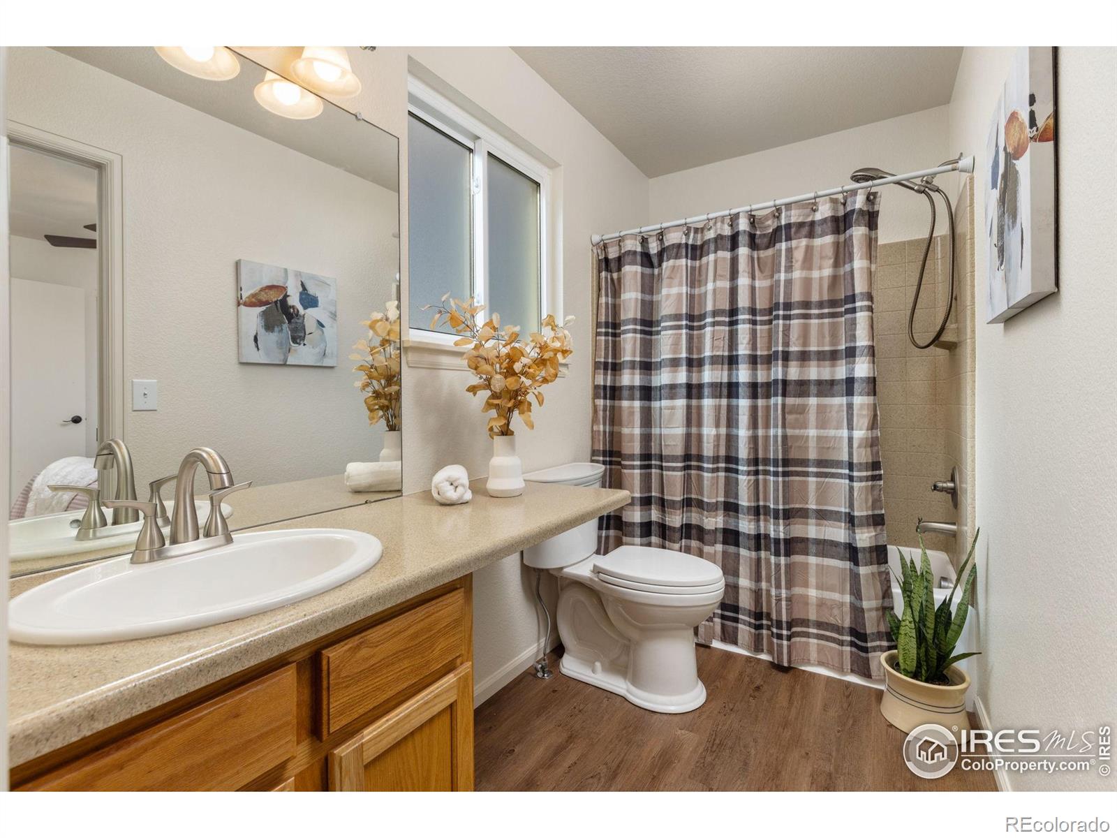 MLS Image #22 for 374  tynan drive,erie, Colorado