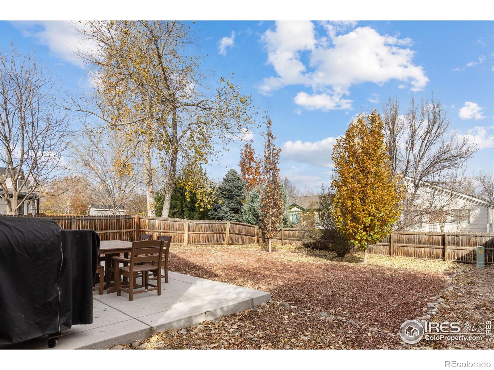 MLS Image #28 for 374  tynan drive,erie, Colorado