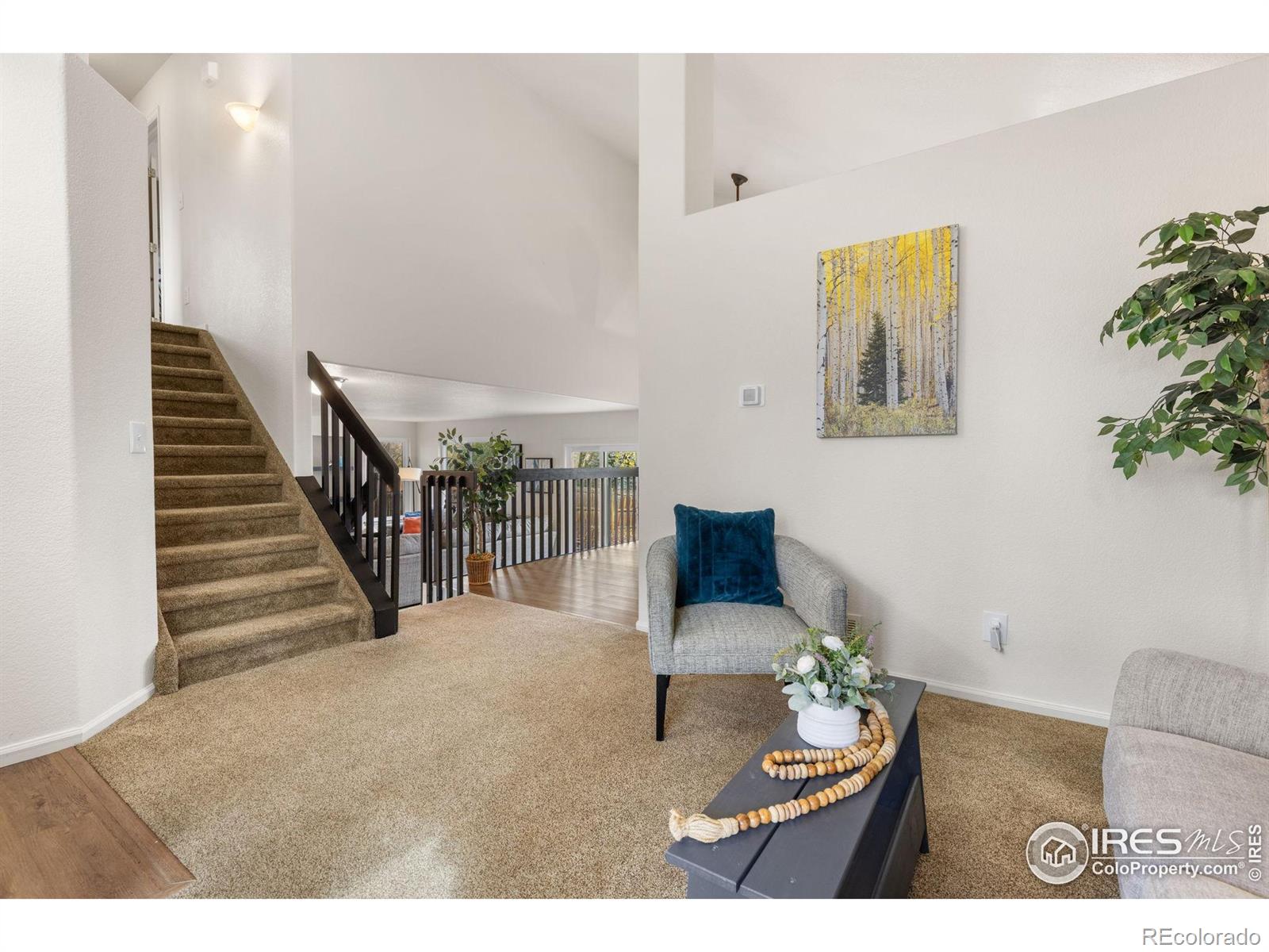 MLS Image #7 for 374  tynan drive,erie, Colorado