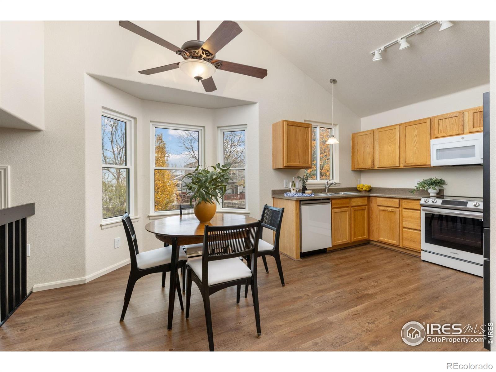 MLS Image #8 for 374  tynan drive,erie, Colorado